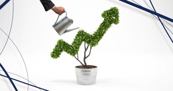 adseed – Affiliate News 07/2026